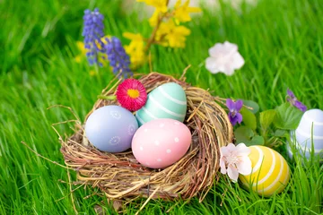 Foto op Plexiglas Osterkörbchen mit eiern in schöner graslandschaft in naturlandschaft © drubig-photo