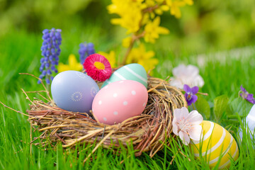 easter eggs in the grass - 756288977