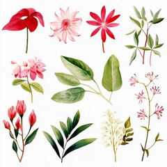 Botanical watercolor art intricate patterns of leaves and flowers