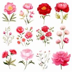 Elegant watercolor flower designs - obrazy, fototapety, plakaty