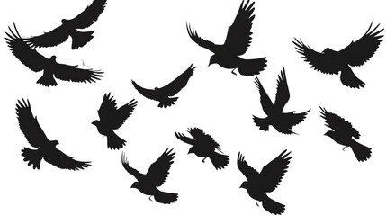 black silhouettes flow  of birds in air. isolated on white background. png