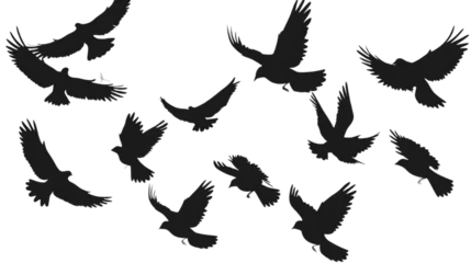 Foto op Canvas black silhouettes flow  of birds in air. isolated on white background. png © asma