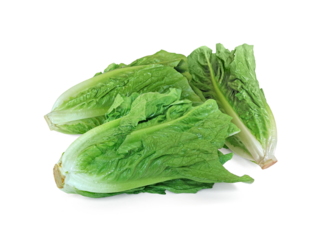 Fresh green Lettuce leaves, Salad leaf, transparent background