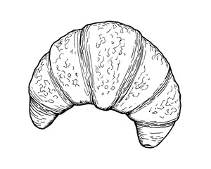 Drawing of French croissant - hand sketch of food