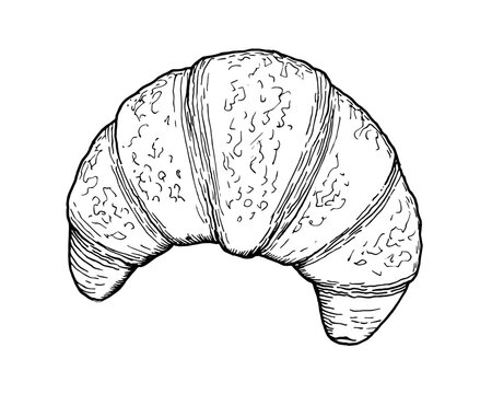 recommend clip art: Drawing of French croissant - hand sketch of food