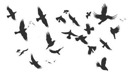 black silhouettes flow  of birds in air. isolated on white background. png