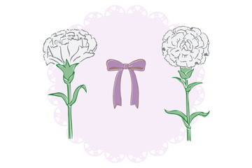 二種類の白いカーネーション