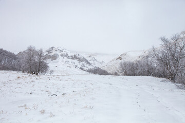 Karachay-Cherkessia, Russia. Caucasus Mountains winter landscape. - 756292966