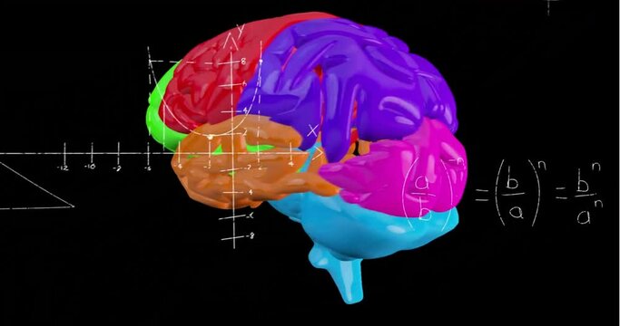 Animation of colourful spinning brain over mathematical equations