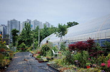 Seoul Gardener, Korean Landscape, Gardener's Studio