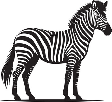 Zebra Silhouettes Zebra EPS Vector Zebra Clipart	