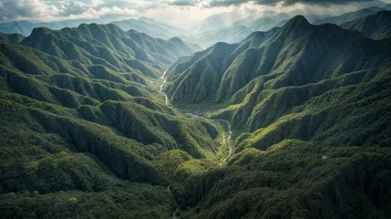 Foto op Plexiglas Aerial view of mountains and river. Beautiful landscape with green hills. © LAYHONG
