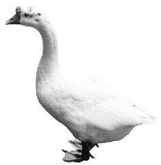 duck  halftone collage element with grunge-dotted texture. Trendy modern retro illustration isolated on transparent background, Ideal for branding, packaging, prints