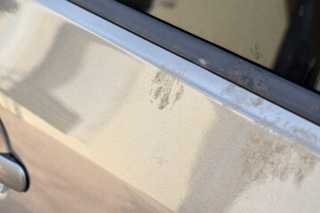 Cat footprints on dirty car. Unclean car with paw prints mud stains. 