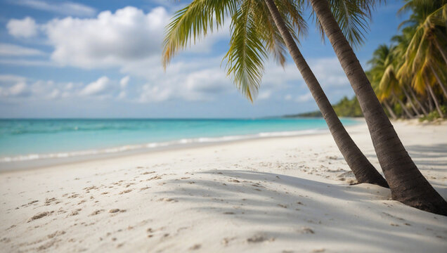 Empty beach with white sand and palm trees along the ocean coast with azure water