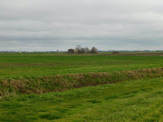campo agricolo in marzo in campagna