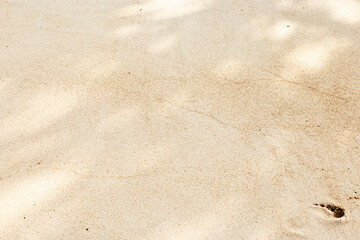 Pristine Beach Sand with Subtle Textures Untouched fine sandy beach with delicate shadows and soft...