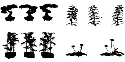 Set Of Silhouette Plant - Flowers and Leaves Silhouette Vector EPS10