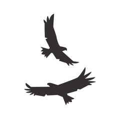 Flying Eagle Silhouette