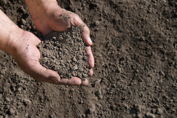 Man's hands holding a handful of earth