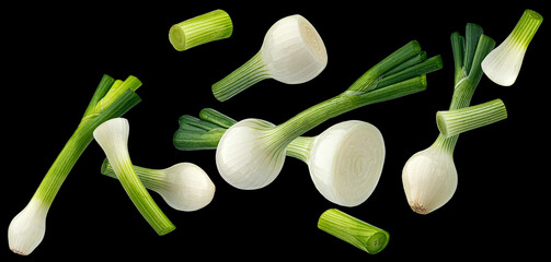 Green onion slices isolated on black background - 756323147