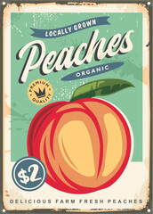 Retro advertising poster for delicious peaches. Fruit market vintage tin sign. Food vector illustration.