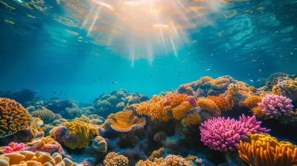 Poster Sunlit colorful coral reef teeming with marine life underwater © Robert Kneschke