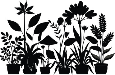 black-shapes-of-plants vector illustration white background.eps