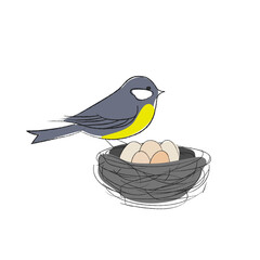 Simple hand drawn titmouse bird with a nest full of eggs springtime, vector illustration - 756330909