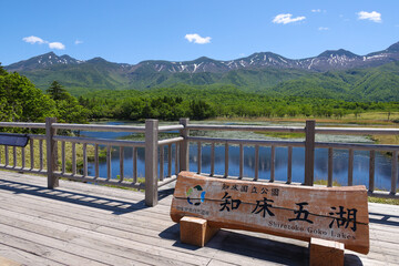 初夏の知床五湖と知床連山看板あ