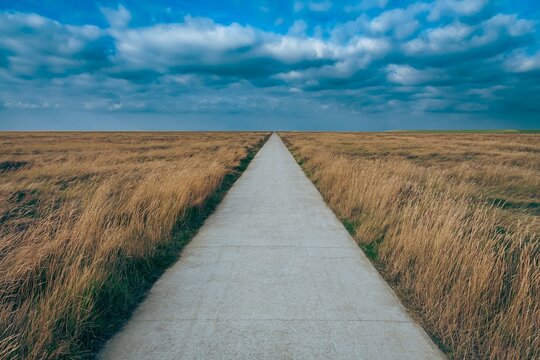 Freier Weg in den Salzwiesen