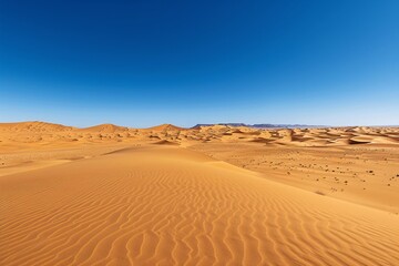 Fototapeta na wymiar a sandy desert with blue sky