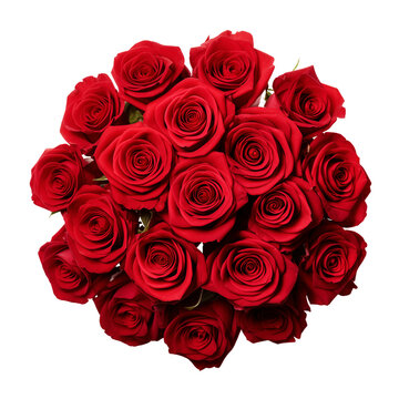 isolated illustration of bouquet of red roses. Created with Generative AI