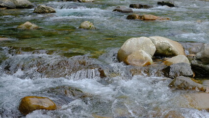 癒される清流の風景