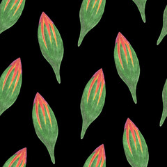 Marigold Flower Bud Seamless Pattern. Floral Bud Digital Paper on Black Background.
