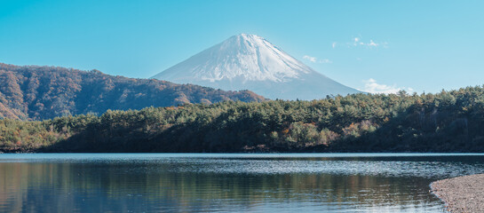 Mount Fuji at lake Saiko near Kawaguchiko, one of the Fuji Five Lakes located in Yamanashi, Japan....