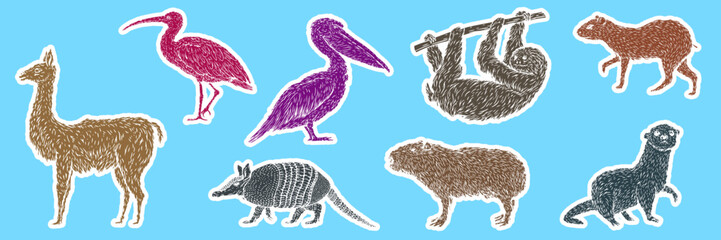 Set color birds and animals south america in hand drawn vintage style. Anteater, tapir, capybara, otter, pelican, armadillo, ibis, sloth, guanaco, agouti. Sketch vector illustration for sticker. - 756340952