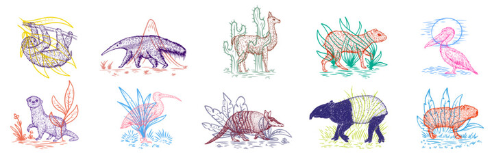 Set color birds and animals south america in hand drawn vintage style. Anteater, tapir, capybara, otter, pelican, armadillo, ibis, sloth, guanaco, agouti. Sketch vector illustration.
