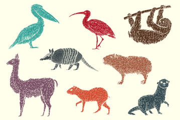 Set color birds and animals south america in hand drawn vintage style. Anteater, tapir, capybara, otter, pelican, armadillo, ibis, sloth, guanaco, agouti. Sketch vector illustration. - 756341122