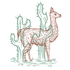 Hand drawn alpaca, lama or guanaco in color sketch style. Animal south america isolated on white background. Vector vintage illustration.