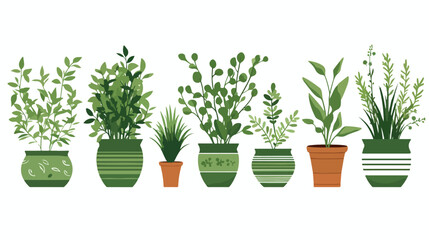 A collection of aromatic herbs in small pots 