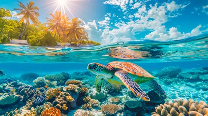 Gartenposter Sea turtle swims through a colorful coral reef © HUMANIMALS