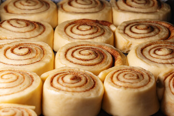 Cinnamon buns in the shape of a snail. Homemade cinnabon rolls during the cooking process before...