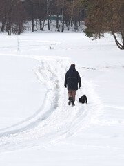 Woman walking a dog in the snow in the park in winter.