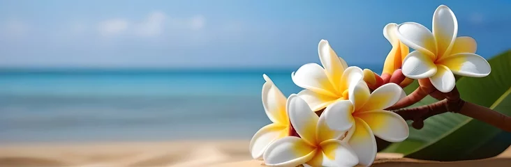 Fototapeten Beach summer panoramic background with frangipani flowers on the sand. © Laura Pashkevich