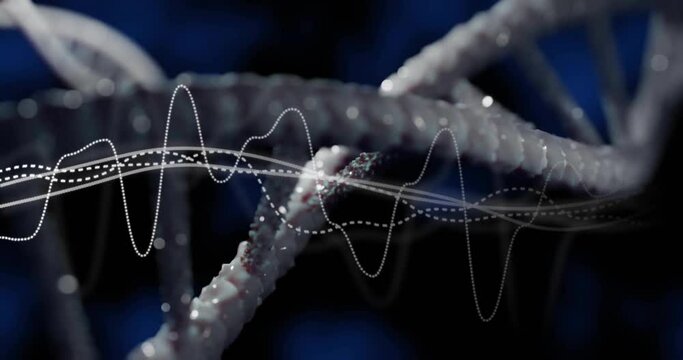 Animation of diagrams over dna strand