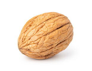 Walnut on white background