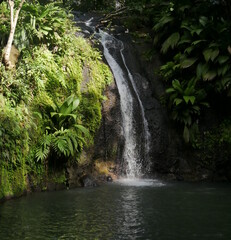 cascade de bis, tropical waterfall in the caribbean jungle, guadeloupe