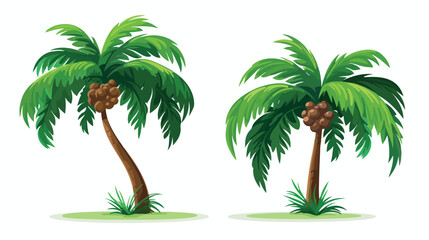 Two tropical green palm trees with leaves. Exotic