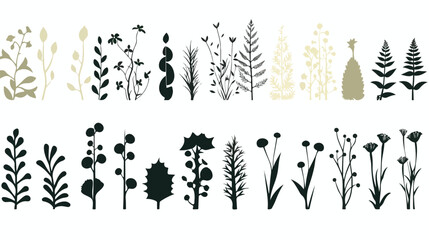 vector plants silhouettes flat vector isolated on white